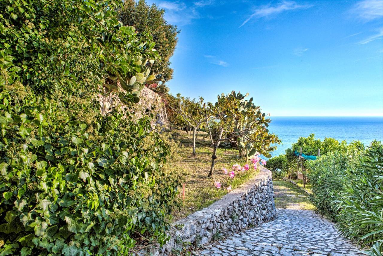 Villa Ad Maiori Ngoại thất bức ảnh